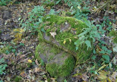 Kmínek Michal, 2020