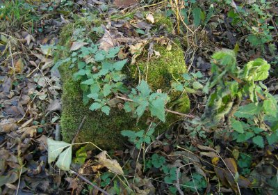 Kmínek Michal, 2020