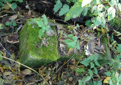 Kmínek Michal, 2020