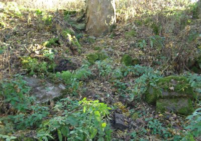 Kmínek Michal, 2020