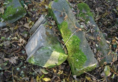 Kmínek Michal, 2020