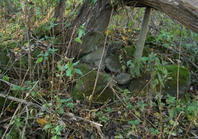 Kmínek Michal, 2020