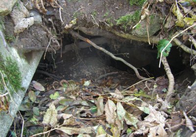 Kmínek Michal, 2020