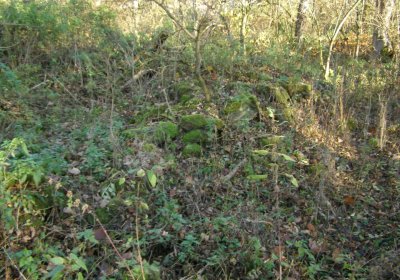 Kmínek Michal, 2020