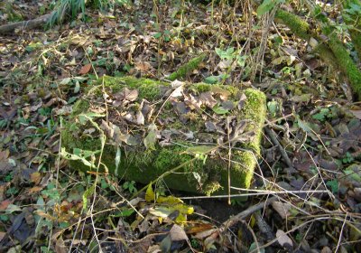 Kmínek Michal, 2020