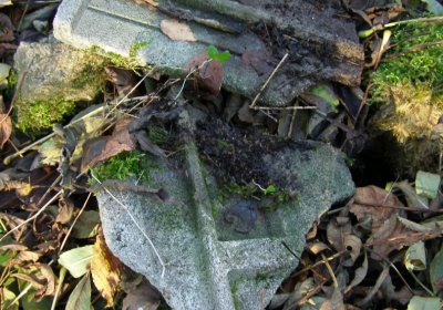 Kmínek Michal, 2020