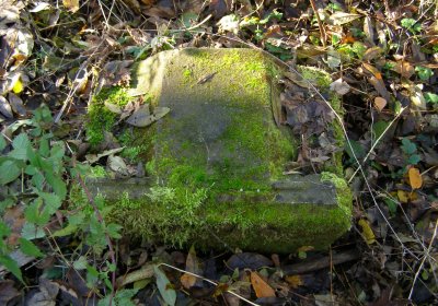 Kmínek Michal, 2020