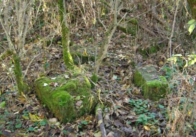 Kmínek Michal, 2020