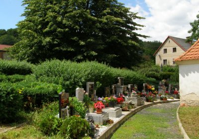 Kmínek Michal, 2020