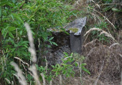 Straškov u kostela, Omnium, 2020