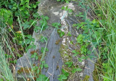 Straškov u kostela, Omnium, 2020