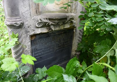 Straškov u kostela, Omnium, 2020