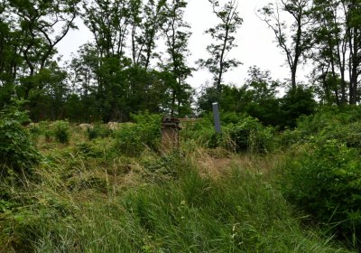 Straškov u kostela, Omnium, 2020