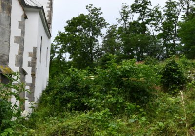 Straškov u kostela, Omnium, 2020