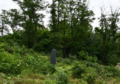 Straškov u kostela, Omnium, 2020