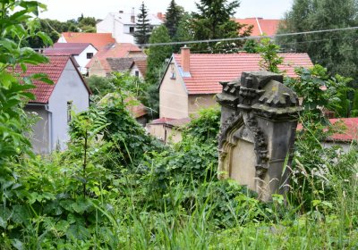 Straškov u kostela, Omnium, 2020