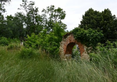 Straškov u kostela, Omnium, 2020