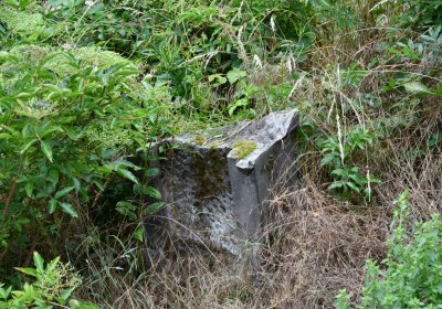 Straškov u kostela, Omnium, 2020