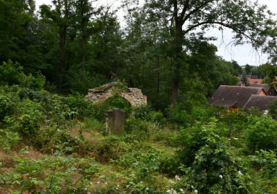 Straškov u kostela, Omnium, 2020