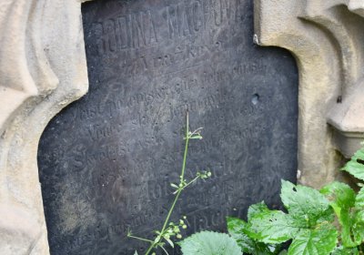 Straškov u kostela, Omnium, 2020