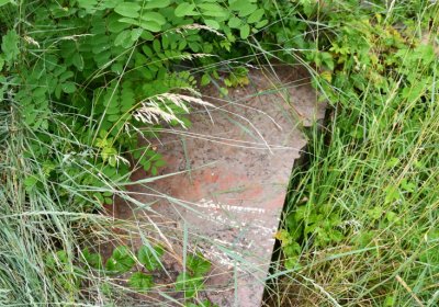 Straškov u kostela, Omnium, 2020