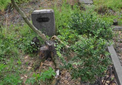 Fotografie hřbitova při probíhající rekonstrukci, Omnium, 2016