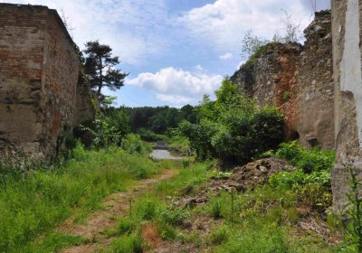 Fotografie hřbitova při probíhající rekonstrukci, Omnium, 2016