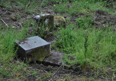 Fotografie hřbitova při probíhající rekonstrukci, Omnium, 2016