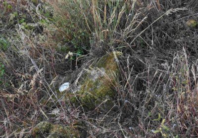 Fotografie hřbitova při probíhající rekonstrukci, Omnium, 2016