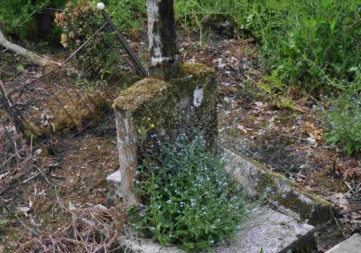 Fotografie hřbitova při probíhající rekonstrukci, Omnium, 2016