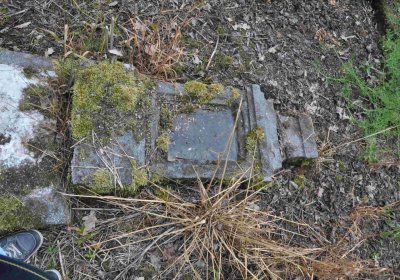 Fotografie hřbitova při probíhající rekonstrukci, Omnium, 2016