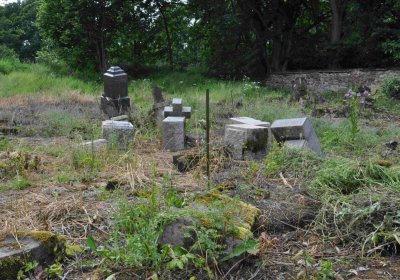 Fotografie hřbitova při probíhající rekonstrukci, Omnium, 2016
