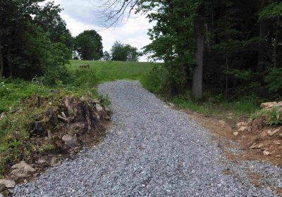 Fotografie hřbitova při probíhající rekonstrukci, Omnium, 2016