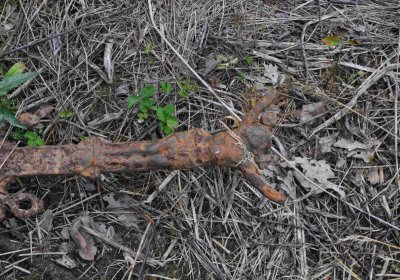 Fotografie hřbitova při probíhající rekonstrukci, Omnium, 2016