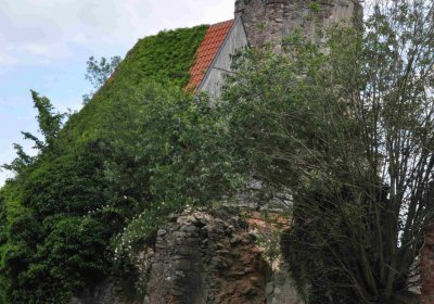 Fotografie hřbitova při probíhající rekonstrukci, Omnium, 2016