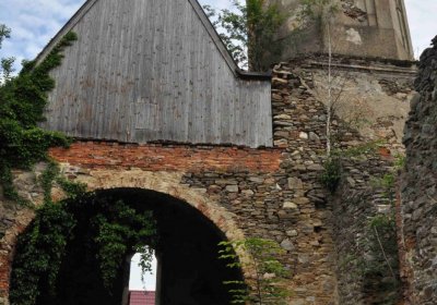 Fotografie hřbitova při probíhající rekonstrukci, Omnium, 2016