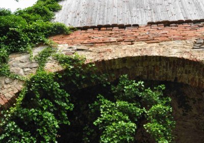 Fotografie hřbitova při probíhající rekonstrukci, Omnium, 2016