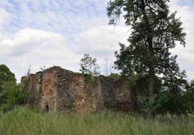 Fotografie hřbitova při probíhající rekonstrukci, Omnium, 2016