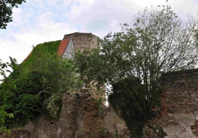 Fotografie hřbitova při probíhající rekonstrukci, Omnium, 2016