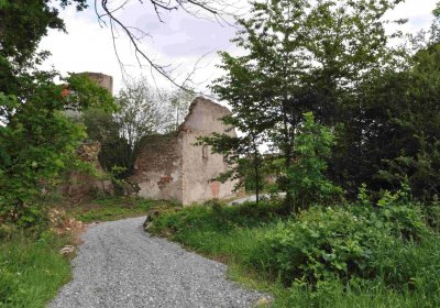 Fotografie hřbitova při probíhající rekonstrukci, Omnium, 2016