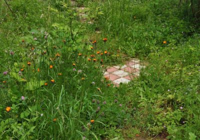 Fotografie hřbitova při probíhající rekonstrukci, Omnium, 2016