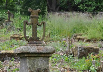 Fotografie hřbitova při probíhající rekonstrukci, Omnium, 2016