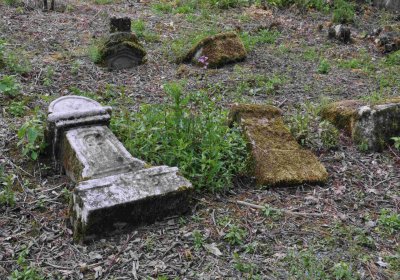 Fotografie hřbitova při probíhající rekonstrukci, Omnium, 2016