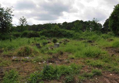 Fotografie hřbitova při probíhající rekonstrukci, Omnium, 2016