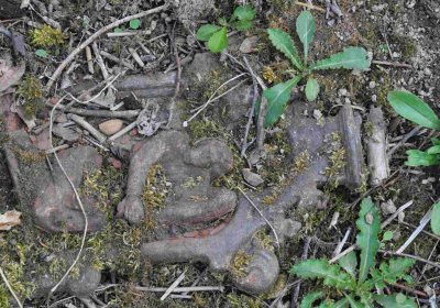 Fotografie hřbitova při probíhající rekonstrukci, Omnium, 2016