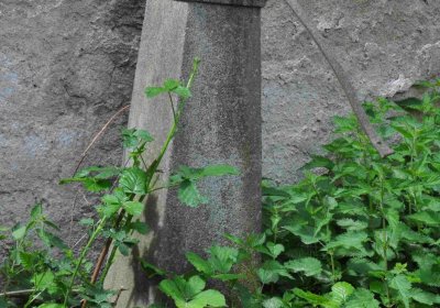 Fotografie hřbitova při probíhající rekonstrukci, Omnium, 2016