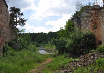 Fotografie hřbitova při probíhající rekonstrukci, Omnium, 2016
