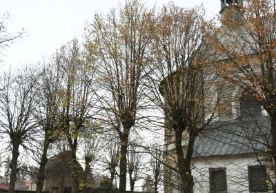 Mikulášovice, Omnium, 2020