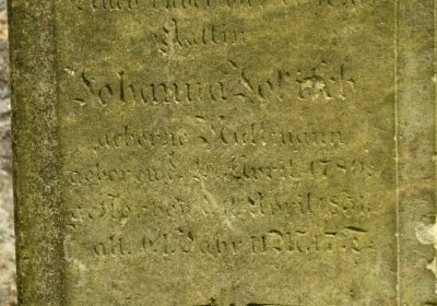 Mikulášovice, Omnium, 2020