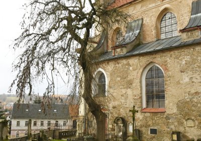 Mikulášovice, Omnium, 2020